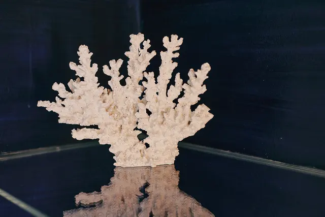 Andreas Schubert - Deep sea / seabed — room at 18Arts Hotel, Köln — photo 6 of 6