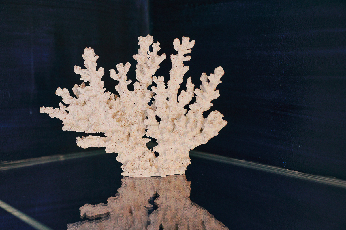 Andreas Schubert - Deep sea / seabed — 18Arts Hotel, Köln (6/6)