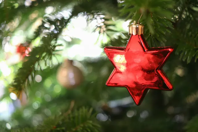 Advent | Small Studio – Arndts Bootshaus