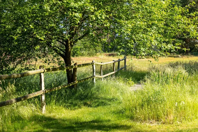 Country House | Stay longer — Biohotel WildLand, Wietze (2/9)
