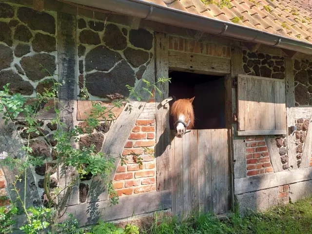 Country House | with Horse Stable – Biohotel WildLand