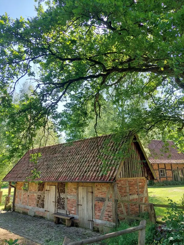 Country House | with Horse Stable — Biohotel WildLand, Wietze (4/12)
