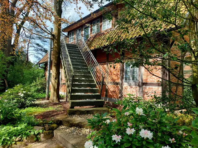 Thick Oak | One Floor 4 Single Rooms – Biohotel WildLand