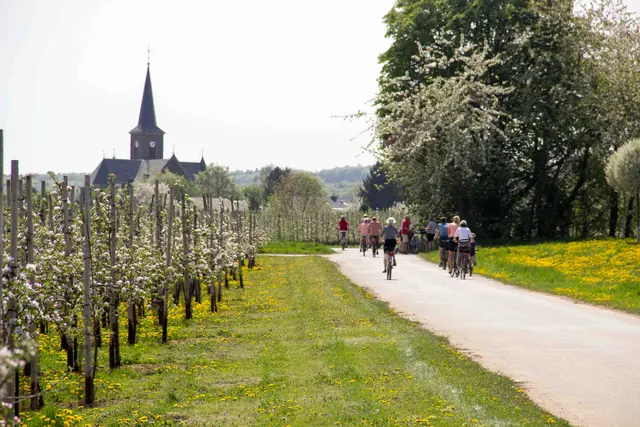 Apple Route Special | Classic Double – City Hotel Meckenheim