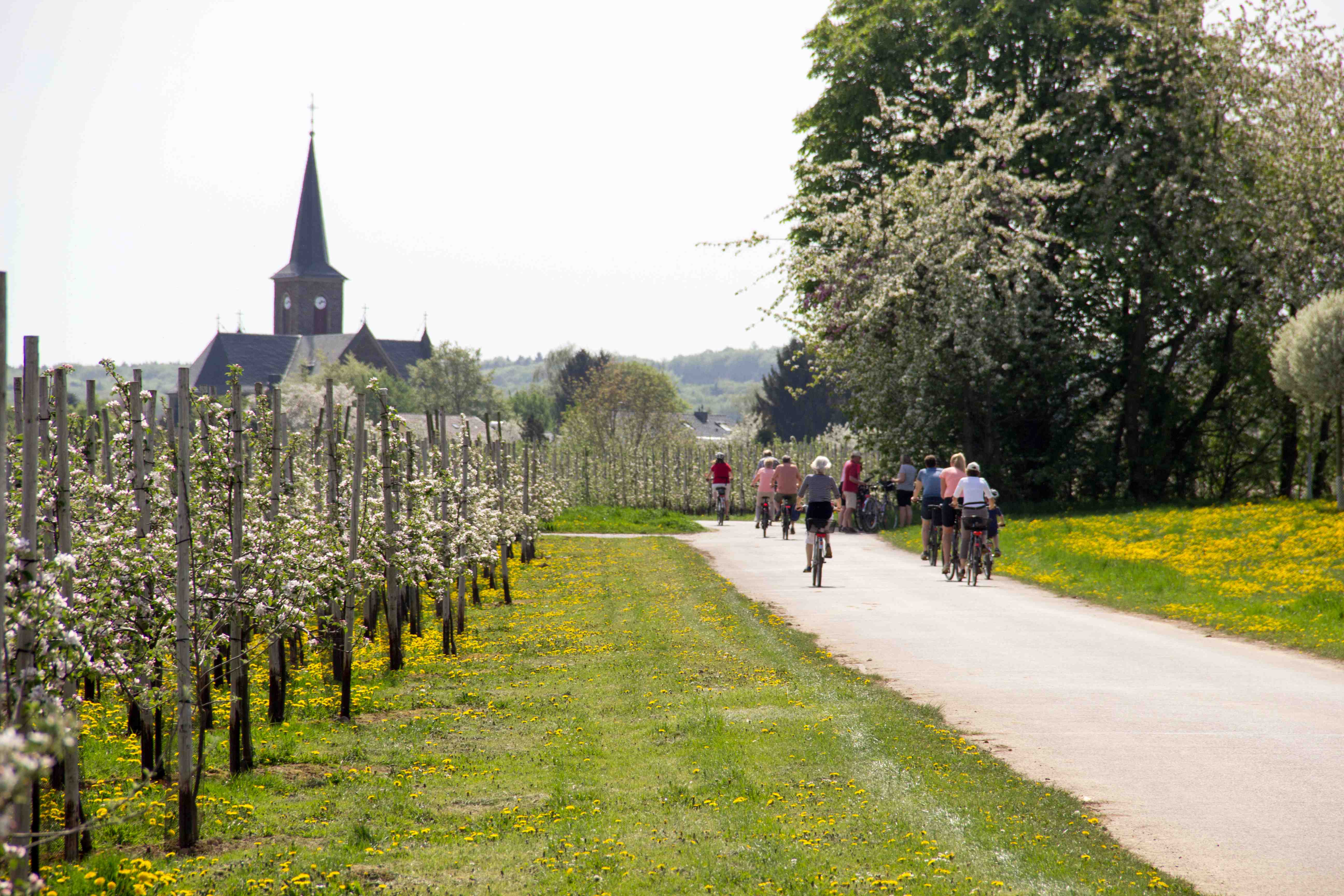 Appleroute Special | Classic Single — City Hotel Meckenheim, Meckenheim (3/3)