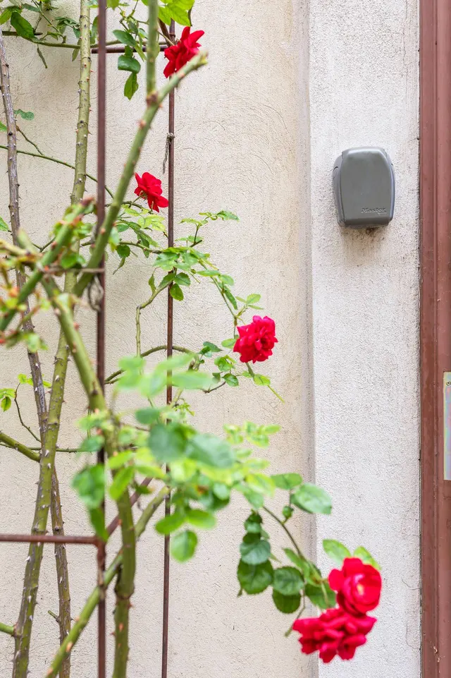 1 Bedroom | Prater Area | Garden view | Apt 5 — accommodation at Cityswap Austria GmbH, Vienna — photo 18 of 18