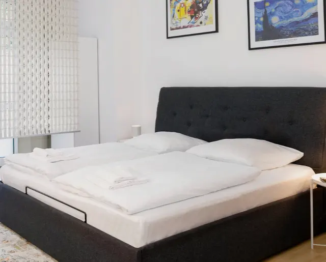 1 Bedroom | Vienna Center | Air conditioning | Apt 2 — accommodation at Cityswap Austria GmbH, Vienna — photo 4 of 5
