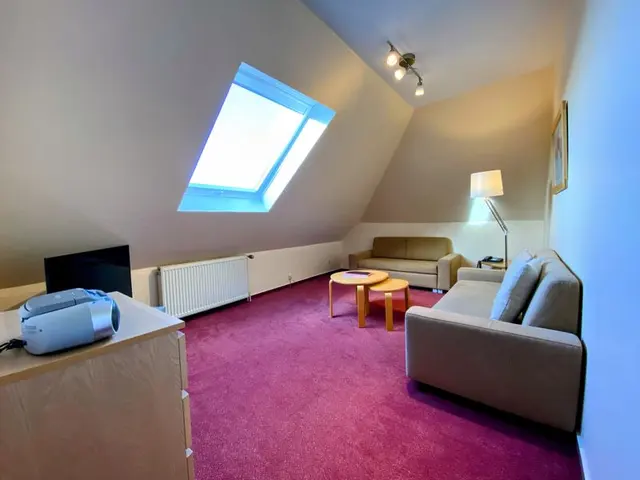 Apartment | Economy | Modern kitchen and attic — Gemünder Ferienpark Salzberg, Schleiden-Gemünd (2/4)