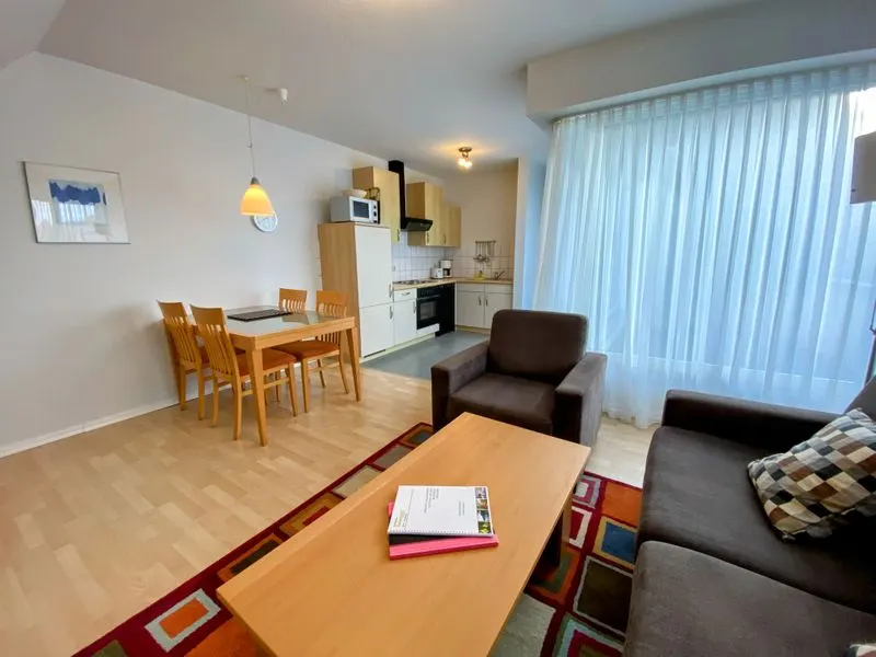 Apartment |  Economy | Private balcony, open kitchen – Gemünder Ferienpark Salzberg
