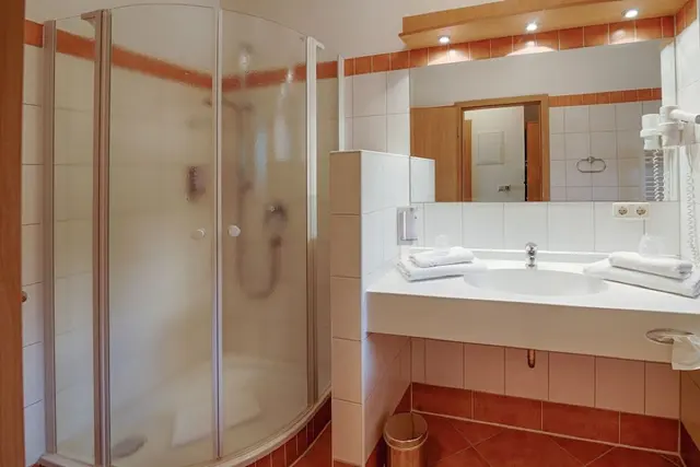 Studio | With kitchenette — Haffhus l Hotel & Spa, Seebad Ueckermünde (3/3)