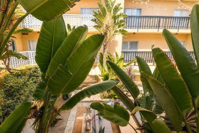 Luminary Queen | Courtyard view — Hollywood Hotel, Los Angeles (4/4)