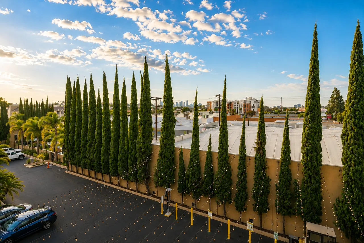 Starlet Double Queen | Top floor large room – Hollywood Hotel Los Angeles