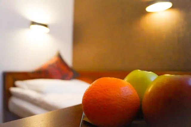 Smart Living Experience Parquet XS 7sqm | Single Bed, near elevator & dog allowed – Hotel Oberkirchs Weinstuben