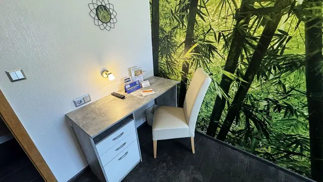 Double Room Eco Plus | French bed with forest view — accommodation at Hotel Paidion, Braunlage — photo 2 of 4