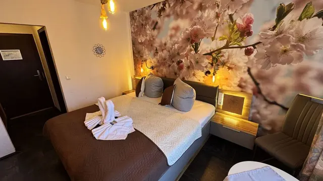 Package Wellness — room at Hotel Paidion, Braunlage — photo 2 of 3