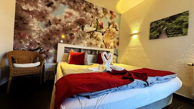Kleines Doppelzimmer | mit Balkon — Hotel Paidion, Braunlage (5/6)