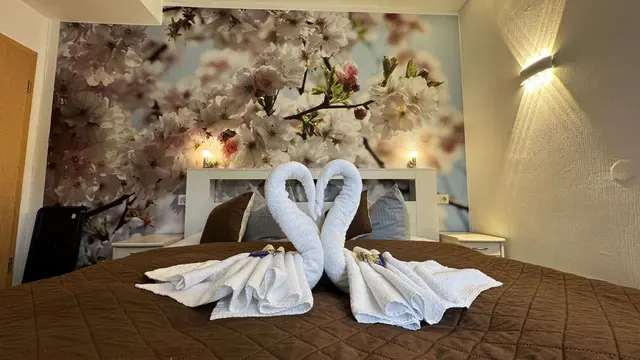 Kleines Doppelzimmer | Mit Regendusche — Hotel Paidion, Braunlage (5/5)