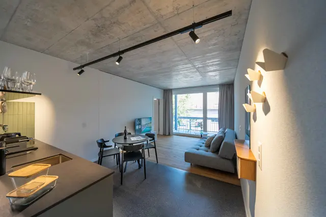 Apartment Extra Large | Ideal for Familiy and Friends — apartment at Il Momento, Bern — photo 2 of 5