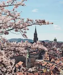 Apartment | Lucky Booking Spring – Il Momento