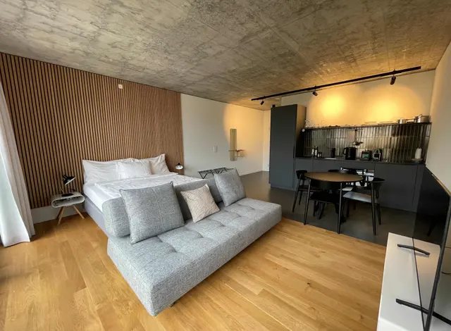 Corporate | Studio Apartment — apartment at Il Momento, Bern — photo 2 of 5