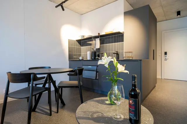 Corporate | Studio Apartment with balcony — apartment at Il Momento, Bern — photo 4 of 5