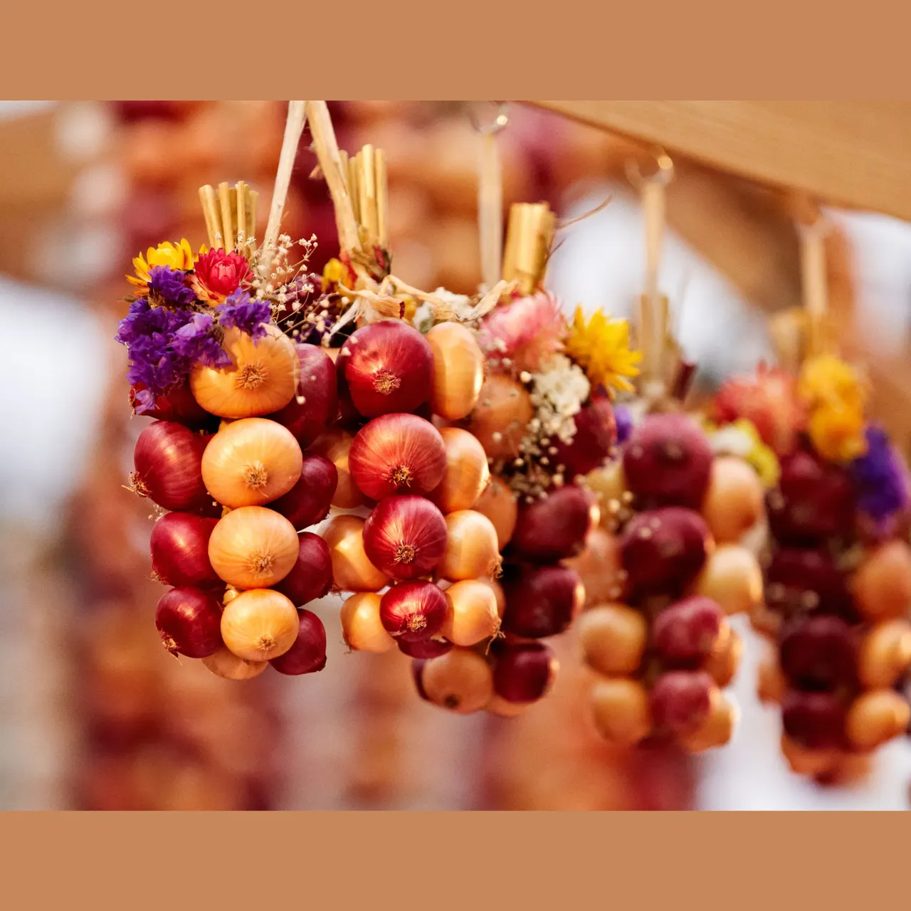 Exclusive Time | Onion Market – Il Momento Bern