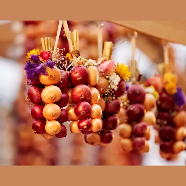 Exclusive Time | Onion Market – Il Momento