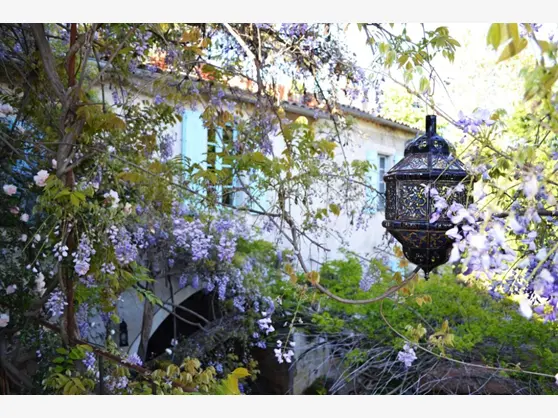 Suite of the Wyzinia — La Vieille Maison - Halte Gourmande, Durfort et Saint Martin de Sossenac (3/8)