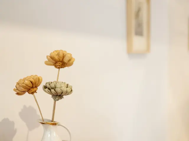 Villa Groth No. 10 | 1 Bedroom Gartenhaus | Terrace — accommodation at OSTKÜSTE Boutique Apartments, Seebad Ahlbeck — photo 14 of 17