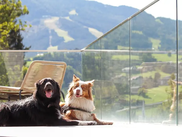 Coburg QUEEN Frida | Private Garden | Pool Access & Breakfast — Schladming Appartements Maria Gruber GmbH, Schladming (15/28)