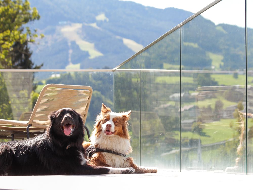 Coburg QUEEN Frida | Private Garden | Pool Access & Breakfast — apartment at Schladming Appartements Maria Gruber GmbH, Schladming — photo 15 of 28