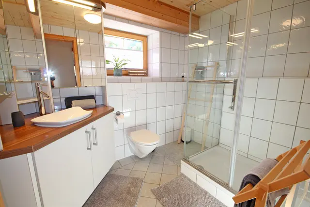 Ennsthaler XXL | Ruim toevluchtsoord in een rustig panoramisch setting — Schladming Appartements Maria Gruber GmbH, Schladming (14/30)