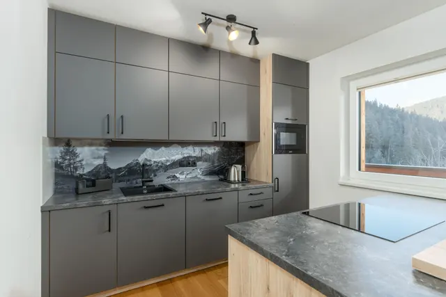 Franz Johann | Ski-in/Ski-out Alpine Stay direkt an der Reiteralm — Schladming Appartements Maria Gruber GmbH, Schladming (3/9)