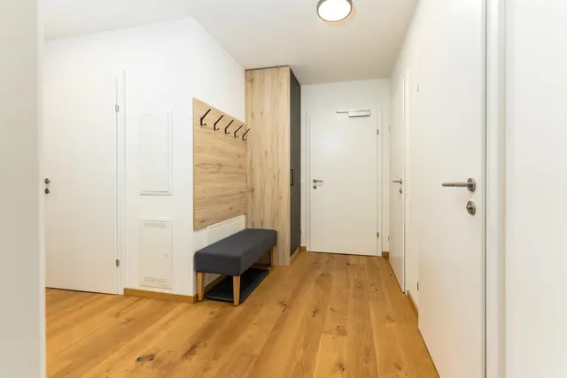 Franz Johann | Ski-in/Ski-out Alpine Stay direkt an der Reiteralm — Schladming Appartements Maria Gruber GmbH, Schladming (8/9)