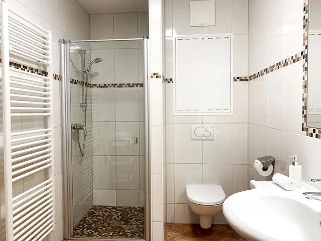 Jana | Zentral & gemütlich – alles da für den Urlaub ohne Auto | Balkon & Bergblick — Schladming Appartements Maria Gruber GmbH, Schladming (8/11)