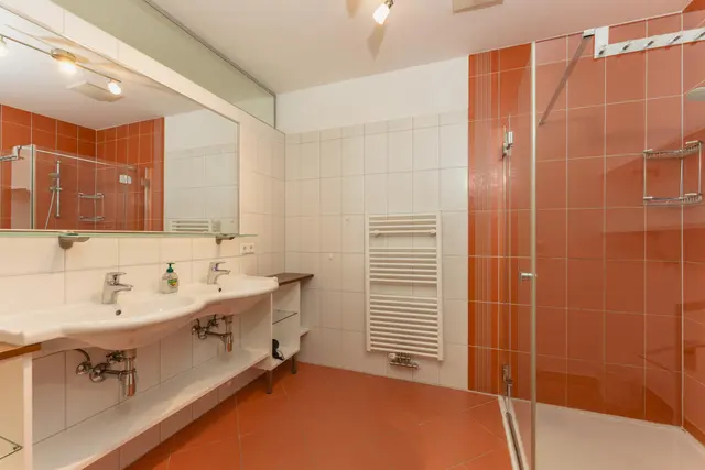 Lilie Top 6 Planai City | Comfortabel appartement met balkon en Planai-uitzicht – alles voor je deur — Schladming Appartements Maria Gruber GmbH, Schladming (10/13)