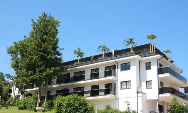 Planai West | Ganzjahres-Aktivlage direkt an der Planai West Piste mit Dachsteinblick — Schladming Appartements Maria Gruber GmbH, Schladming (17/17)
