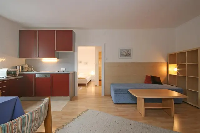 Schwaiger Top 3 | kleines Traditionelles Stadtappartement in Toplage nahe Planai — Schladming Appartements Maria Gruber GmbH, Schladming (6/8)