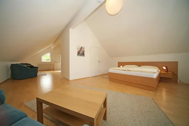 Schwaiger Top 9 | XXL Traditionelles Stadtappartement in Toplage nahe Planai — Schladming Appartements Maria Gruber GmbH, Schladming (10/15)