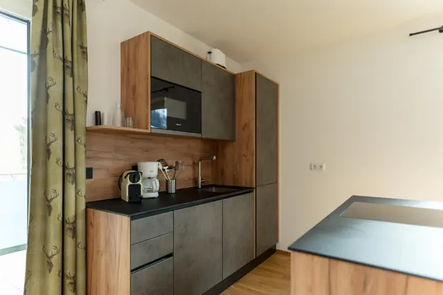 Sonnenhaus Balcony Dachstein | Moderne Auszeit mit privater Sauna, Balkon & Bergblick — Schladming Appartements Maria Gruber GmbH, Schladming (3/8)