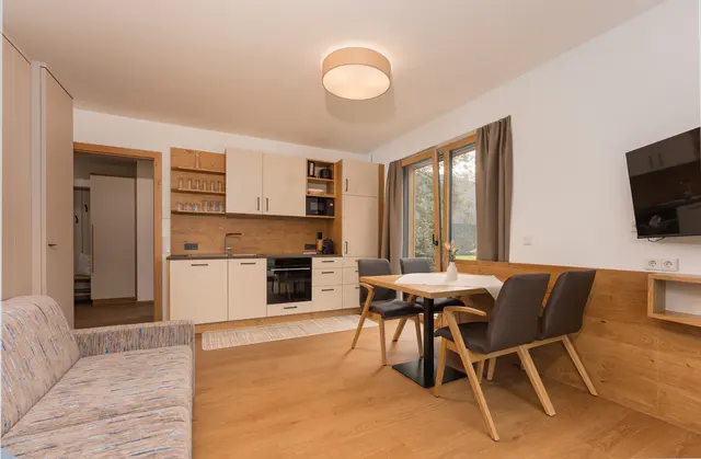 Sun Chalet Appartement Untertal, Mountainview, next to the slope, aircondition — apartment at Schladming Appartements Maria Gruber GmbH, Schladming — photo 8 of 16