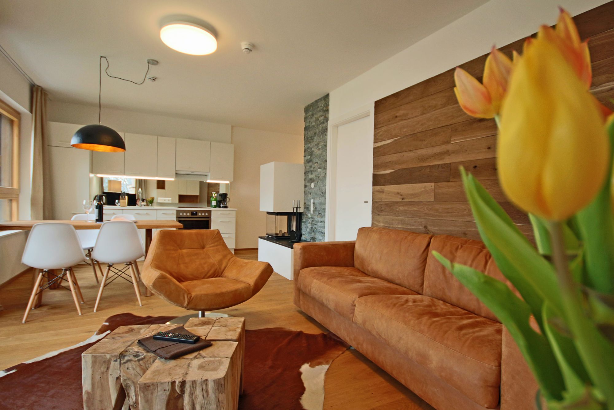 Sun Lodge | apartment with one bedroom and sofa bed, fire place and loggia | Typ 1H — apartment at Schladming Appartements Maria Gruber GmbH, Schladming — photo 4 of 25