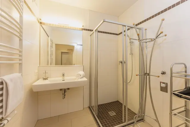 Tamino 4 | City Stay im Herzen von Schladming mit Sauna & Waschraum im Haus — Schladming Appartements Maria Gruber GmbH, Schladming (6/9)