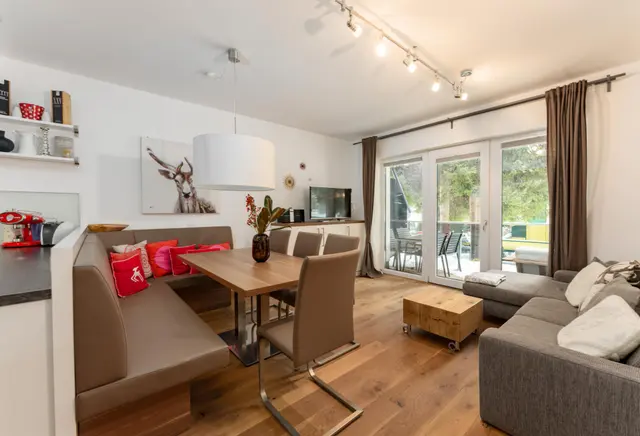 Traumblick | Ganzjahres-Aktivlage direkt an der Piste mit traumhaften Dachsteinblick — Schladming Appartements Maria Gruber GmbH, Schladming (7/16)