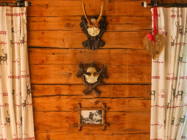 Weisse Wand Alm Large | Rustic mountain cabin surrounded by nature with waterfall views & BBQ — apartment at Schladming Appartements Maria Gruber GmbH, Schladming — photo 25 of 27