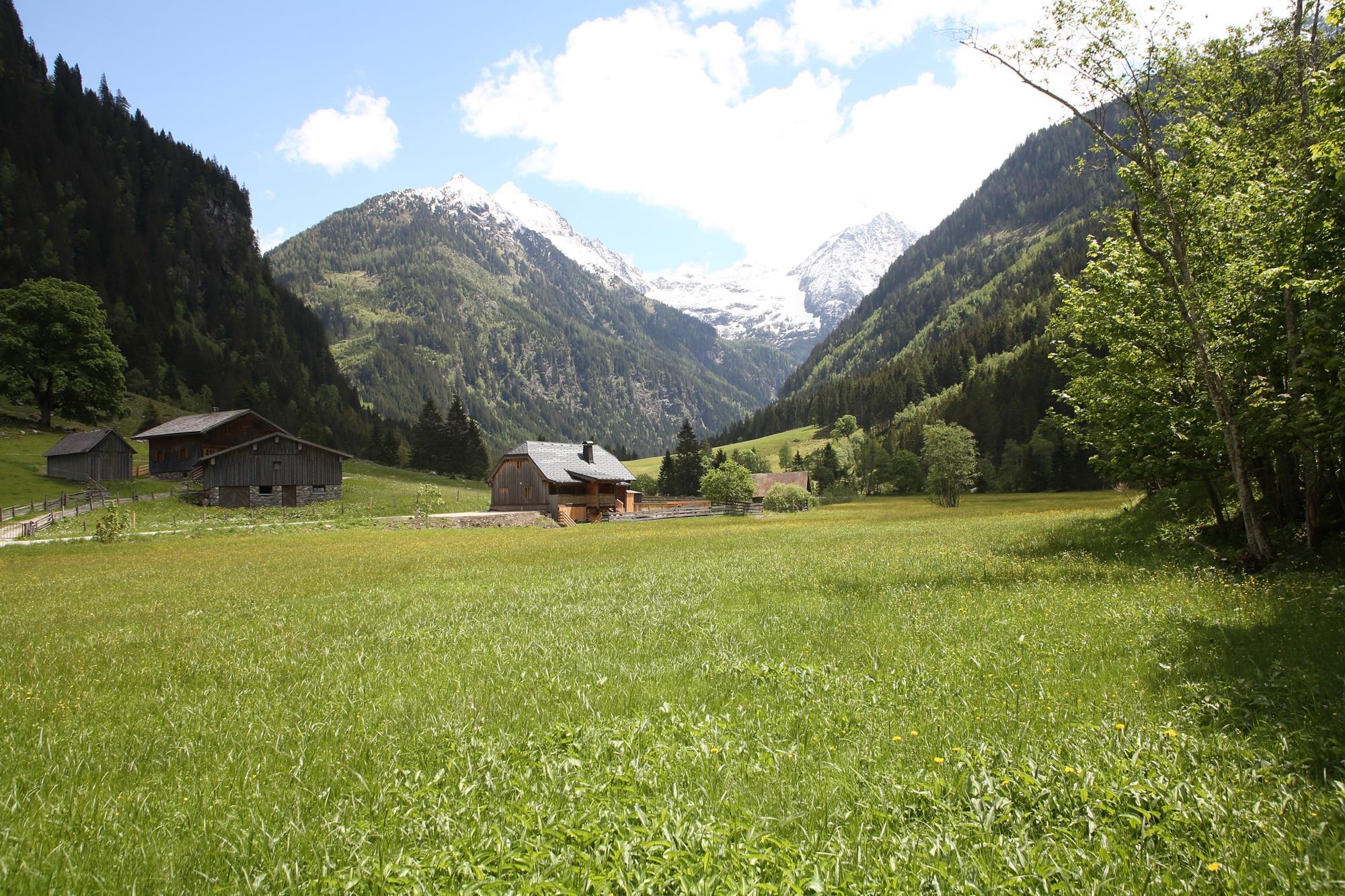 Weisse Wand Alm Small | Small alpine retreat surrounded by meadows, forests & streams with BBQ — apartment at Schladming Appartements Maria Gruber GmbH, Schladming — photo 4 of 26