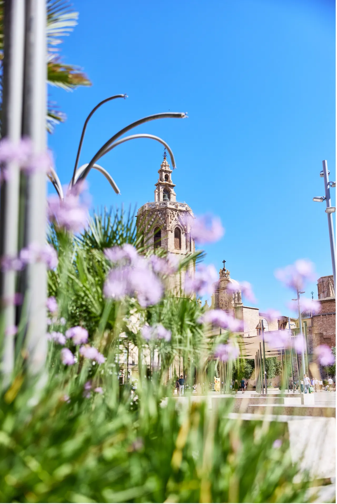 Lucky Choice | Special – Signa Gascons Valencia