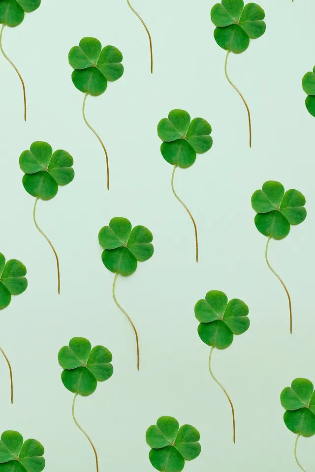 Lucky Cube 🍀 – THIS HO(S)TEL