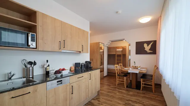 1 Bedroom Apartment M | Valley view | PL — accommodation at Wellness Aparthotel Panorama Alpin und Pitztal Living, Jerzens im Pitztal — photo 2 of 8