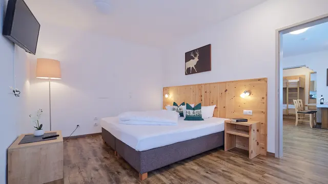 1 Bedroom Apartment M | Valley view | PL — accommodation at Wellness Aparthotel Panorama Alpin und Pitztal Living, Jerzens im Pitztal — photo 4 of 8